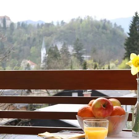 Apartament Breda In Center