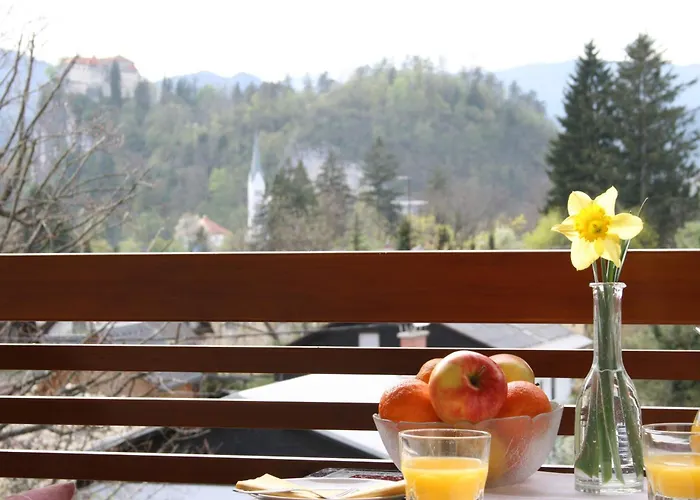 Apartma Breda In Center